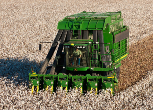 Cotton Harvesting: The Process & Equipment