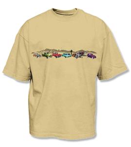 Route 66 T-Shirt Route 66 T-shirt